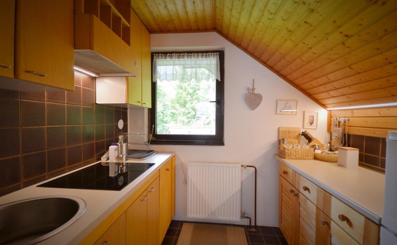 Apartma Zidan Kranjska Gora Zewnętrze zdjęcie